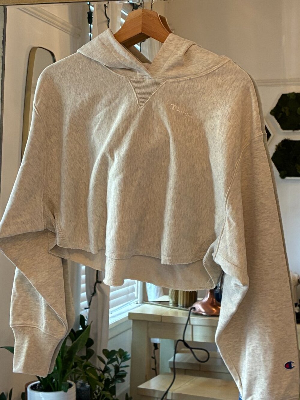Champion Oatmeal Cropped Hoodie | Curve Hem | Size L | NWT